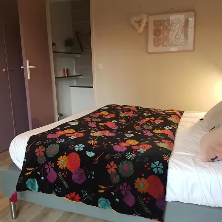 L'ile Aux Oiseaux Hotel Andernos-les-Bains