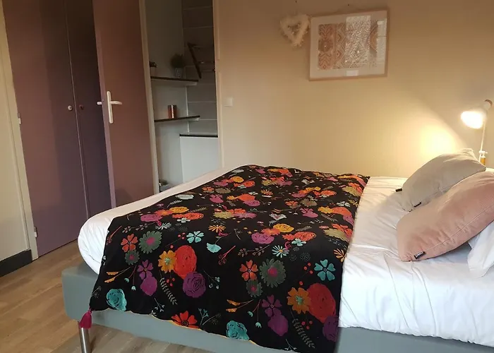 L'ile Aux Oiseaux Hotel Andernos-les-Bains