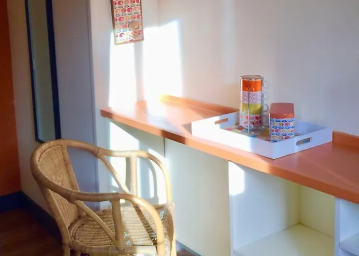 L'ile Aux Oiseaux Andernos-les-Bains